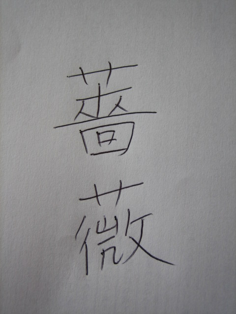 kanji5.jpg